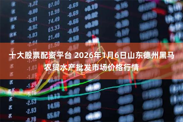 十大股票配资平台 2026年1月6日山东德州黑马农贸水产批发市场价格行情
